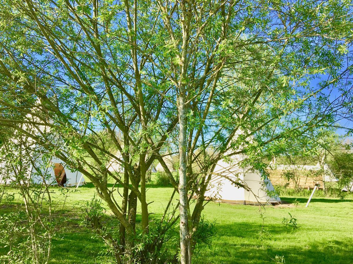 Les Tipis Du Bonheur De Vivre Hotel Brulon ภายนอก รูปภาพ